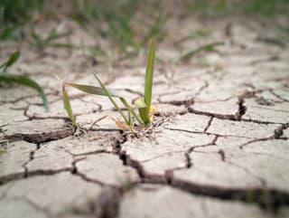 August bol na severe