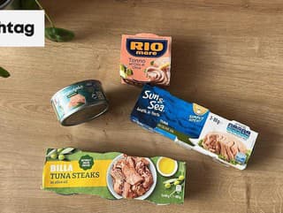 TEST tuniaka v olivovom