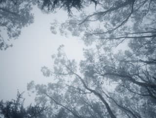 Pre niektoré okresy Slovenska