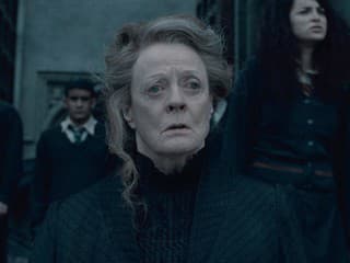 Ako dobre poznáte profesorku