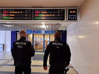Polícia na železnici v