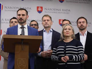 Hnutie Slovensko o hlasovaní