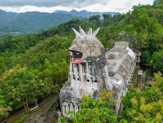 Mal byť holubicou, stal