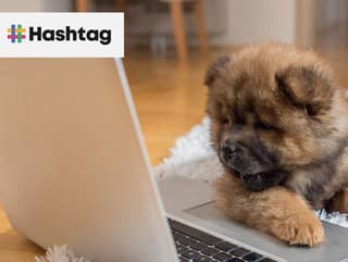 20 najroztomilejších psov na