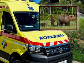 Ďalší útok! Medvedica s