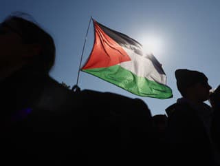 Palestínska vlajka na proteste