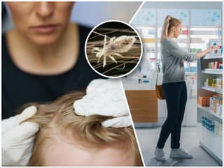 Slovensko zasiahla epidémia VŠÍ!