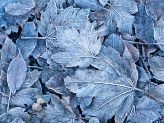 Meteorológovia varujú pred prízemným