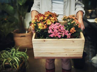 Pestré jesenné kvetináčové výsadby: