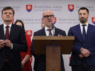 Opozičná strana SaS chce