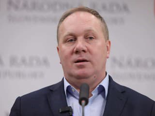 Po schválení ústavy sa