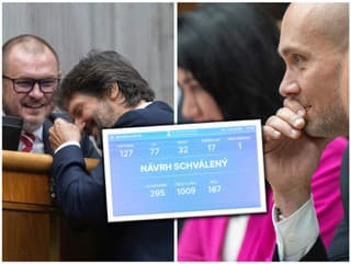 Plénum rozhodlo: Energopomoc pre