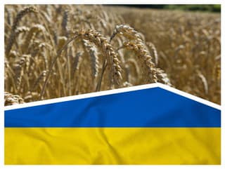 Ukrajinská pšenica zavalila strednú