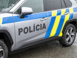 Polícia v Michalovciach do