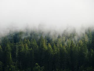 Hustá hmla v Banskobystrickom