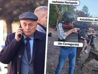 Ikona občianskeho aktivizmu 90.