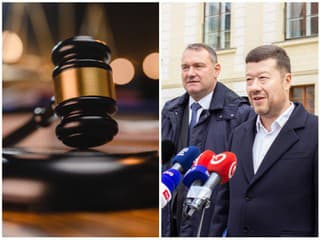 Súd žiada novú snemovňu