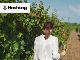 15 vinárskych regiónov v