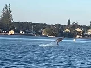 Táto optická ilúzia vám