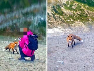 Nepoučiteľní turisti v Tatrách