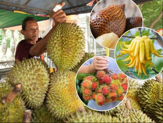 Citrón v tvare ruky,