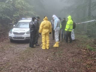 V okrese Prievidza spadlo