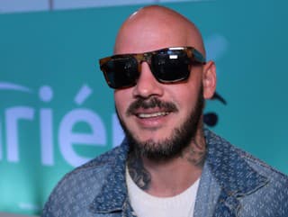 Michal Majself Švehla