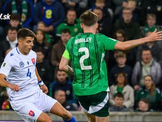 Reakcie Slovákov na prehru: