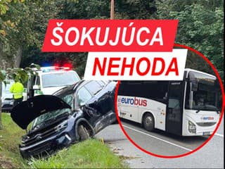 RIADITEĽ štátnej firmy VRAZIL