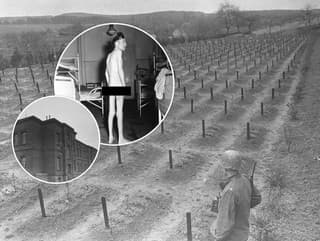 Hadamar bol peklom na