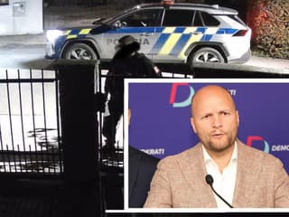 U šéfa Demokratov Jaroslava