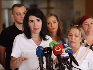 SaS kritizuje návrh o