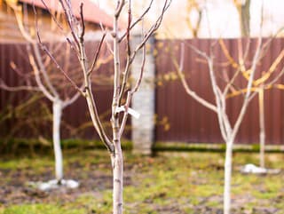 6 najčastejších chýb, ktoré