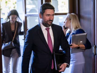 Vláda prerokuje návrh medzivládnych