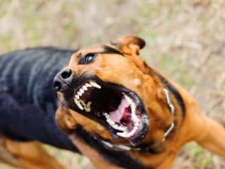 Príšerná tragédia: Muž (†46)