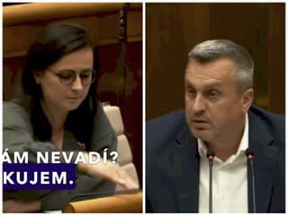 Emóciami prekypujúci parlament: Danko