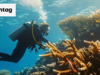 Neuveriteľný nález na pobreží