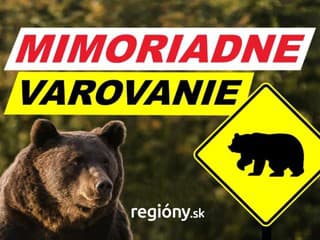 Mimoriadne varovanie: Medveď v