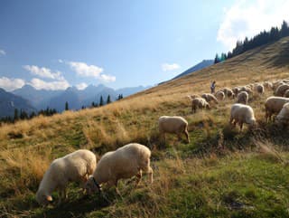 Pripravovaná zonácia TANAP-u môže