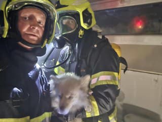 Počas prehľadávania požiarom zasiahnutého