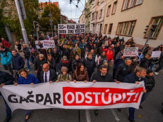 Pochod strany SaS za