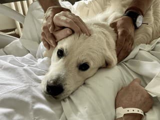 Chcete dlho zdravý mozog?