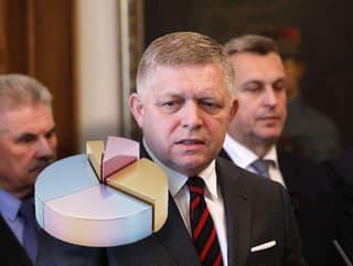 Slováci v PRIESKUME odmietli