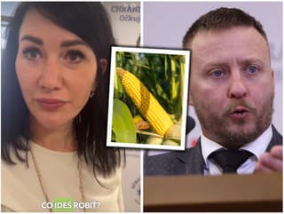 Cigániková provokuje Kotlára aj