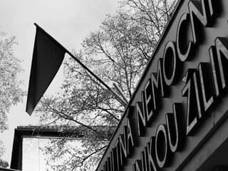 Nemocnica sa zahalila do