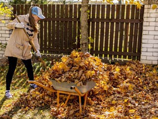 Nevyhadzujte opadané lístie zo