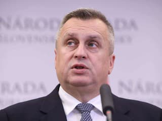 Koalícia sa háda kvôli