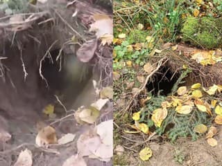 Poľská pohraničná stráž objavila