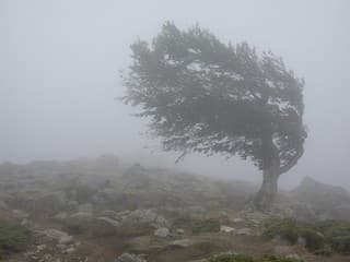 Meteorológovia varujú pred silným