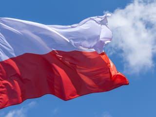 Prekvapivé výsledky: Poľský jazyk